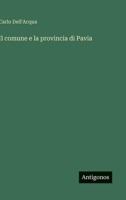 Il comune e la provincia di Pavia (Italian Edition) 3385085659 Book Cover