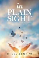 In Plain Sight: Learn to See What Most People Miss and Embrace Life as it Is! B0DR2HMCDP Book Cover