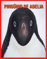 Pingüino de Adelia: Aprende sobre los Pingüino de Adelia y disfruta de imágenes coloridas B08RGYSZYC Book Cover