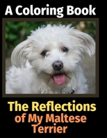 The Reflections of My Maltese Terrier: A Coloring Book 1708487352 Book Cover