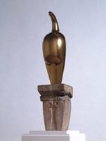 Constantin Brancusi: The Essence of Things 1854375458 Book Cover