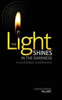 The Light Shines in the Darkness: A Victory Manifesto 1480026336 Book Cover