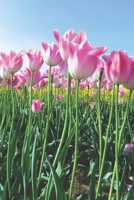 Journal: 150 Dot Grid Sheets, 6x9 Inches, Inspiring Tulips, Pink, Plan Your Day and Organize Your Life, Tracker, Productivity, Diary, Notebook 1673324150 Book Cover