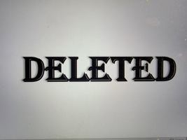 Skin Sin Saga I: An Epic Tale of Love and Race 0578711109 Book Cover