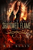 Shadowed Flame 1649642326 Book Cover