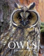 Owls 0801451817 Book Cover