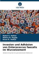 Invasion und Adhäsion von Enterococcus faecalis im Wurzelzement 6209054390 Book Cover