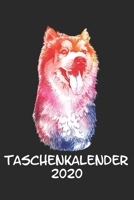 Taschenkalender 2020: Taschenkalender f�r Sept. 2019 bis Dezember 2020 A5 Terminplaner Wochenplaner Terminkalender Wochenkalender Organizer mit Sibirischer Husky Hund Hunderasse 1708471324 Book Cover