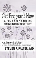 Get Pregnant Now: A Four-Step Process to Overcome Infertility 1540770354 Book Cover