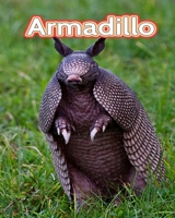 Armadillo: Facts Book B0C1DPT3W7 Book Cover