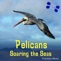 Pelicans: Soaring the Seas (Things With Wings) 1404244972 Book Cover