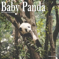 Baby Panda: 2021 Mini Wall Calendar B08NYVJ3JK Book Cover