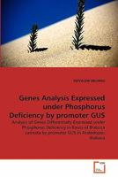 Genes Analysis Expressed under Phosphorus Deficiency by promoter GUS 363936208X Book Cover