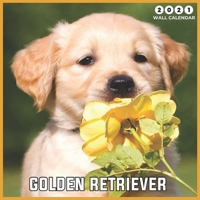 Golden Retriever 2021 Wall Calendar: Beautiful Golden Retriever Dogs - 2021 Calendar 8.5" x 8.5" - glossy finish B08M7J3VCZ Book Cover