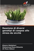 Reazione di diversi genotipi di cowpea allo stress da siccità (Italian Edition) 6207732227 Book Cover