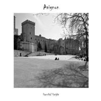 Avignon 1291209174 Book Cover
