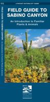 Sabino Canyon, Field Guide to: Pocket Naturalist Guide 1583557563 Book Cover