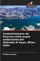 Contaminazione da fluoruro nelle acque sotterranee del distretto di Gaya, Bihar, India (Italian Edition) 6206966038 Book Cover