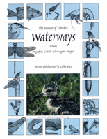 The Nature of Florida's Waterways: Including Dragonflies, Cattails, and Mangrove Snapper 1888025085 Book Cover