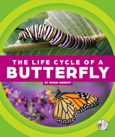 THE LIFE CYCLE OF A BUTTERFLY 1503858375 Book Cover