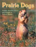 Prairie Dogs (Clarion Nonfiction) 0395526019 Book Cover