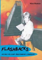 Flashbacks: Notizen aus einem abgefahrenen Jahrzehnt (German Edition) 3695761458 Book Cover