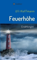 Feuerhöhe: Erzählungen (German Edition) 3347073126 Book Cover