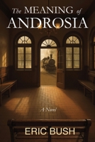 The Meaning of Androsia B0FKTH9P3Q Book Cover