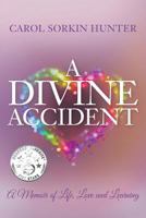 A Divine Accident: A Memoir of Life, Love and Learning 1539406512 Book Cover