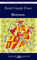 Bronwen: Chwedl Hanesyddol am Owain Glyndwr (Welsh Edition) 1917237537 Book Cover
