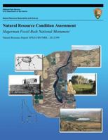 Natural Resource Condition Assessment: Hagerman Fossil Beds National Monument: Natural Resource Report NPS/UCBN/NRR?2012/599 1492758302 Book Cover