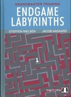 Endgame Labyrinths 1784831530 Book Cover