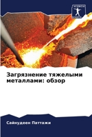 Загрязнение тяжелыми ме& 6205650851 Book Cover