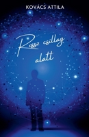 Rossz csillag alatt (Hungarian Edition) B0DR3Q7T9L Book Cover