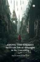 AMONG THE GNOMES An Occult Tale of Adventure in the Untersberg B0DRYZK8FX Book Cover
