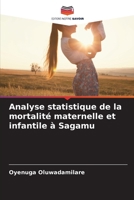 Analyse statistique de la mortalité maternelle et infantile à Sagamu (French Edition) 6209679439 Book Cover