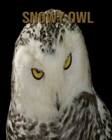 Snowy owl: Children's Book An Amazing Animal Picture Book about Snowy owl for Kids B08CPCD94T Book Cover