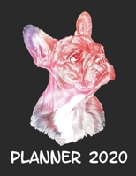 Planner 2020: Planner Weekly and Monthly for 2020 Calendar Business Planners Organizer For To do list 8,5 x 11 with Frenchie French Bulldog Dog Pet 1708169377 Book Cover