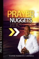 Prayer Nuggets B08R69ZGPW Book Cover