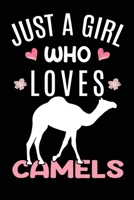 Just A Girl Who Loves Camels: Camel Animal Lover Gift Diary Blank Date & Blank Lined Notebook Journal 6x9 Inch 120 Pages White Paper 1673557198 Book Cover