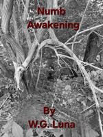 Numb Awakening B0GP9NWKBJ Book Cover