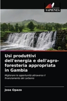 Usi produttivi dell'energia e dell'agro-foresteria appropriata in Gambia 6202993634 Book Cover