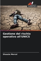 Gestione del rischio operativo all'UNICS (Italian Edition) 620766115X Book Cover