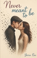 Never meant to be: Modern day Romeo and Juilet 1520554257 Book Cover