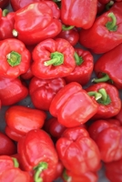 My Journal: Calorie Tracking Food Logbook - 6x9 - 120 pages - Sections to record Breakfast, Lunch, & Dinner, Servings, Workouts, Calories, and Notes - Matte Cover Food Log 1673753531 Book Cover