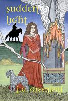Sudden Light: Donegal's Novel 0615447953 Book Cover