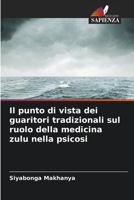 Il punto di vista dei guaritori tradizionali sul ruolo della medicina zulu nella psicosi B0CGKNMY39 Book Cover