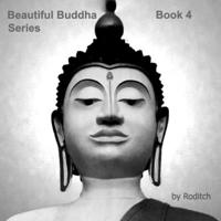 Beautiful Buddha Series: Book 4 B0BW3HQZCD Book Cover
