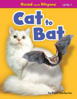 Cat to Bat 1642805386 Book Cover