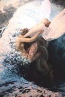 Diario dell'Arte 1721913440 Book Cover